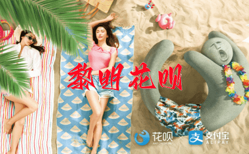 追求完美花呗